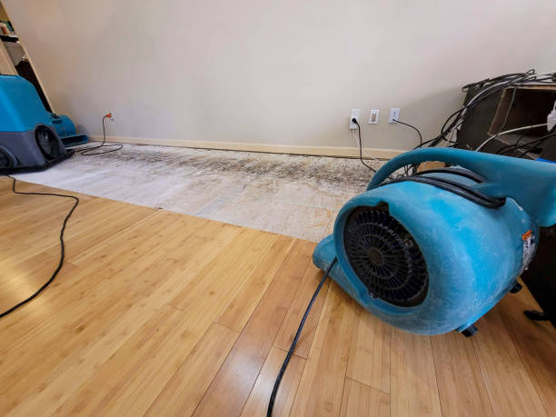 Professional Water Extraction technician working in Denmark, ME